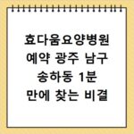 효다움요양병원 예약 광주 남구 송하동 1분 만에 찾는 비결
