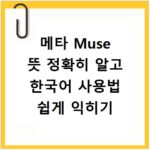 메타 Muse 뜻 정확히 알고 한국어 사용법 쉽게 익히기