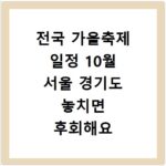 전국 가을축제 일정 10월 서울 경기도 놓치면 후회해요