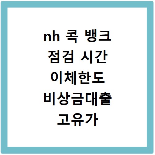 nh 콕 뱅크 점검 시간 이체한도 비상금대출 고유가 지원금 총정리