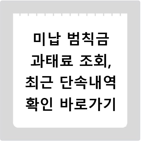 미납 범칙금 과태료 조회, 최근 단속내역 확인 바로가기